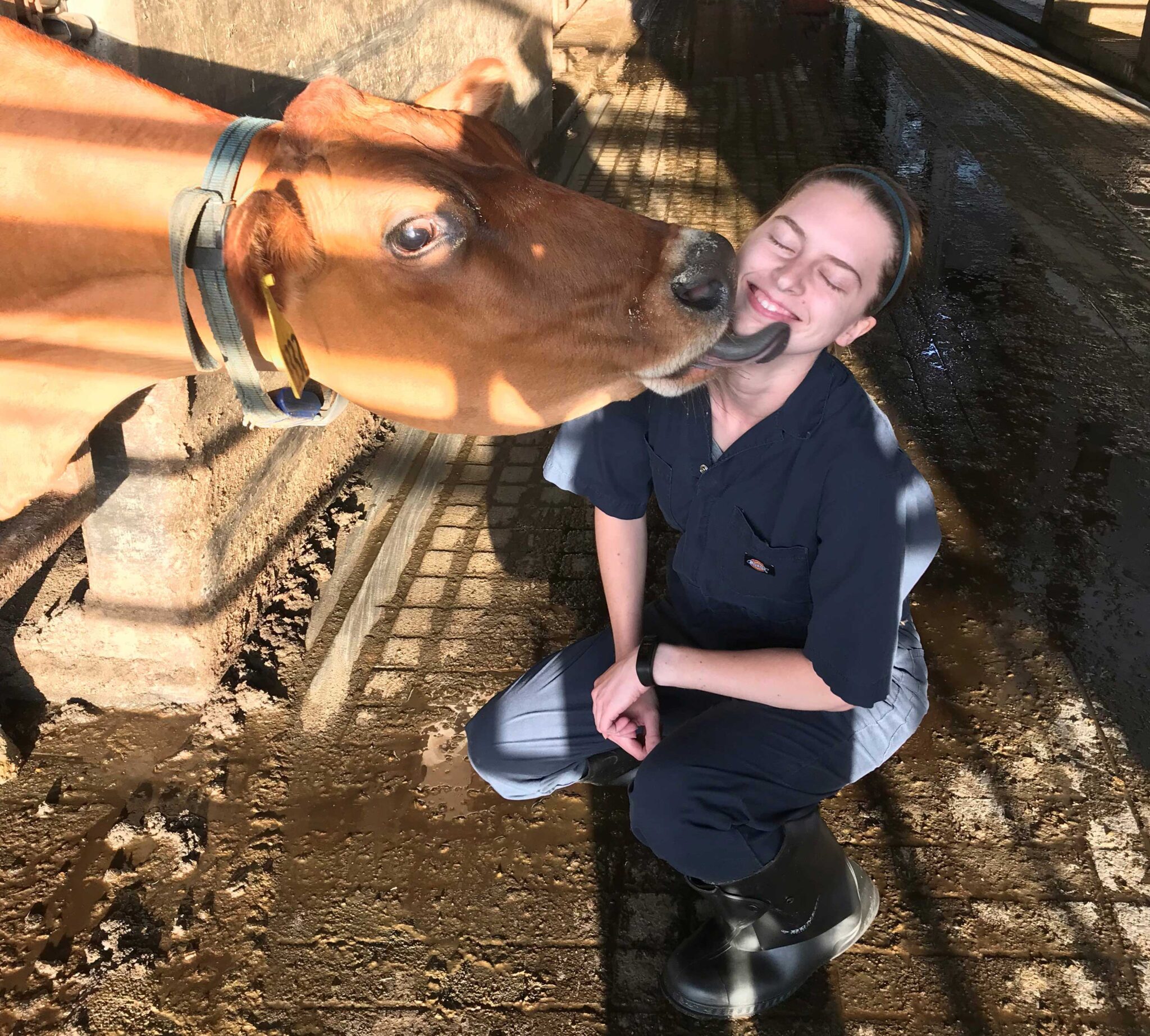 Veterinary Clinic Staff Whiteford, MD Muddy Creek Veterinary